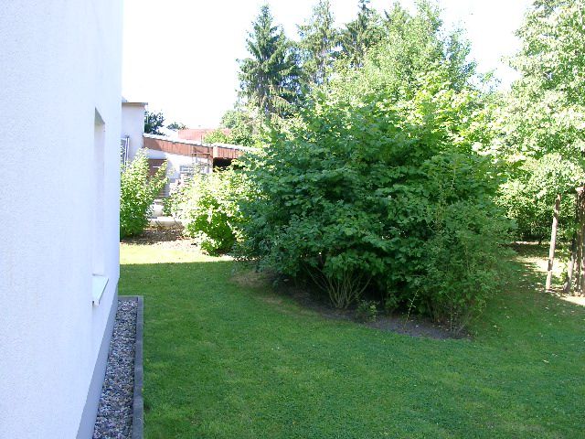 Garten Garten