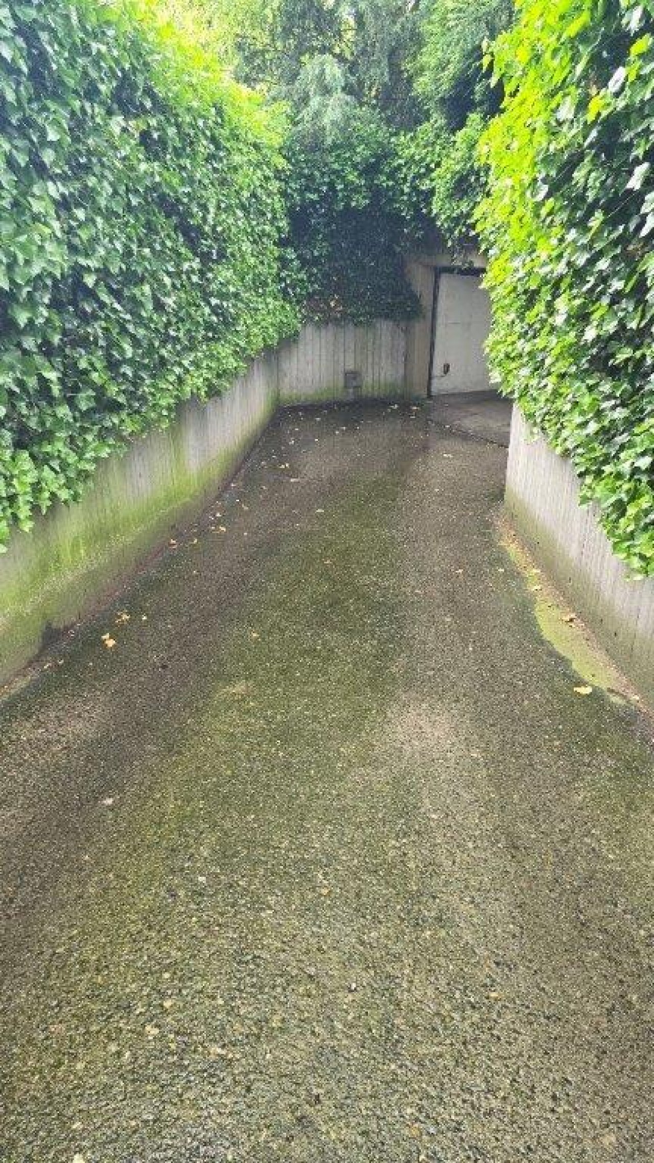 ZUfahrt Tiefgarage